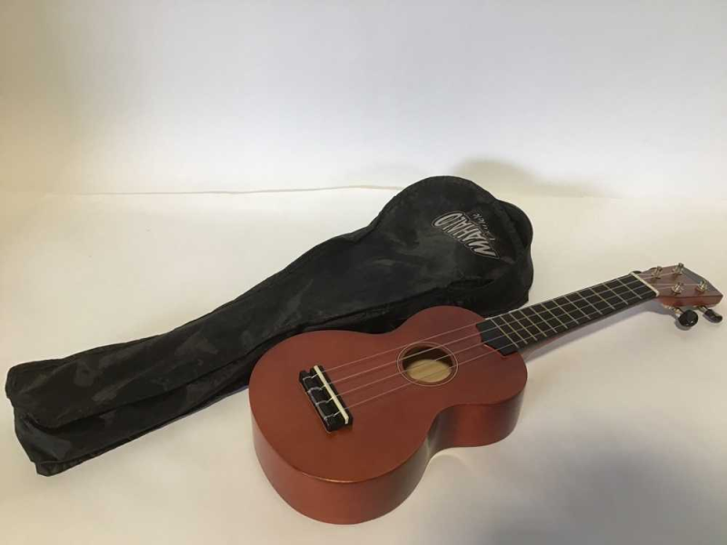Ukulele Guitar In Soft Carrying Case